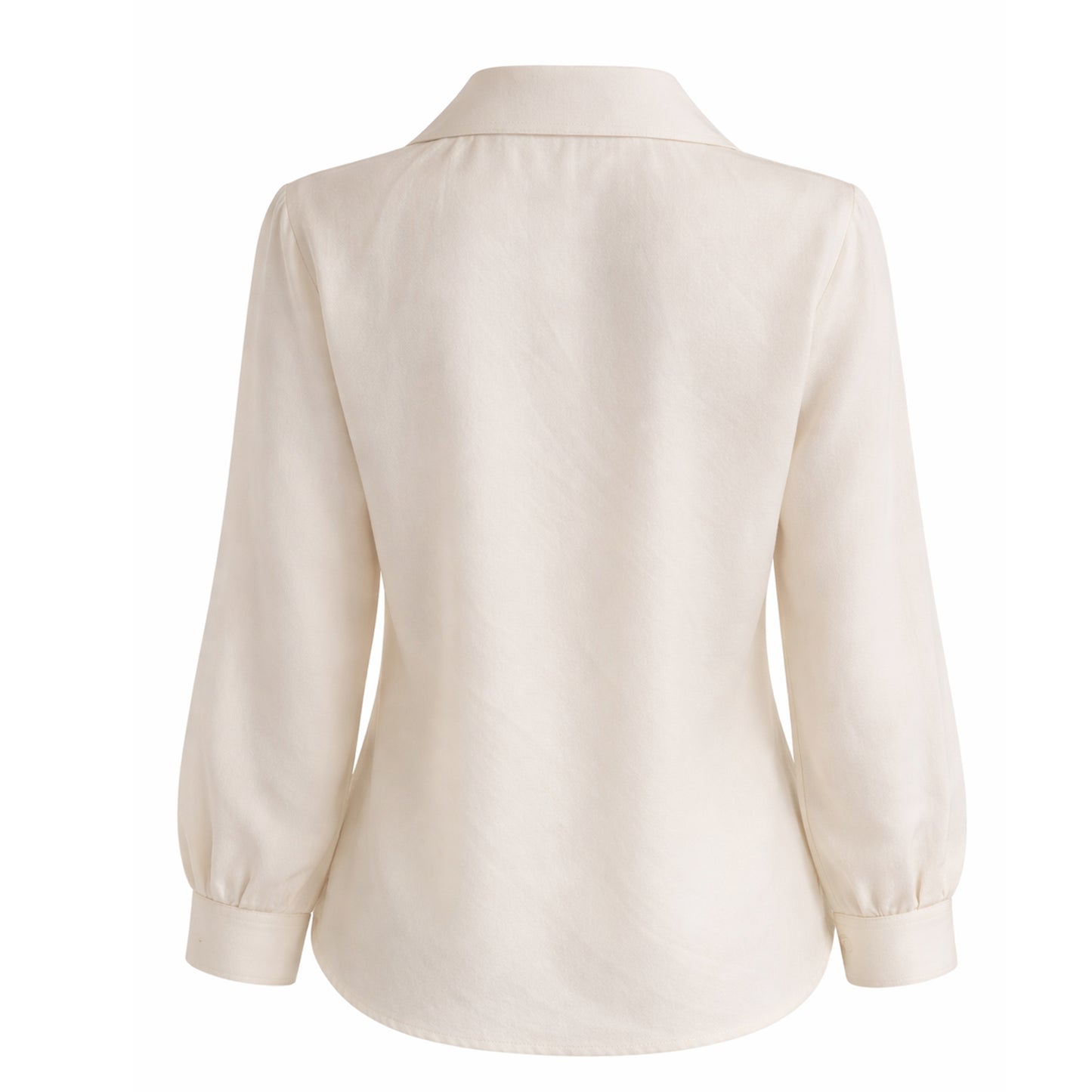 Sheer Relaxed Fit Button-Up Blouse