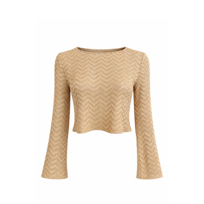 Shimmer Knit Crop Top