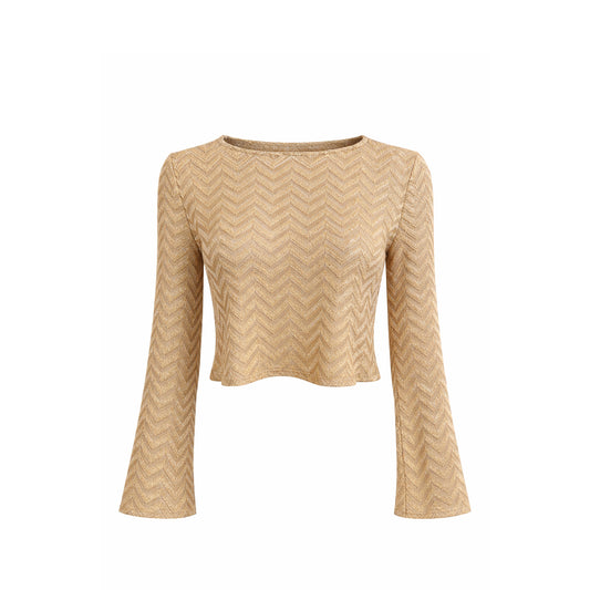 Shimmer Knit Crop Top