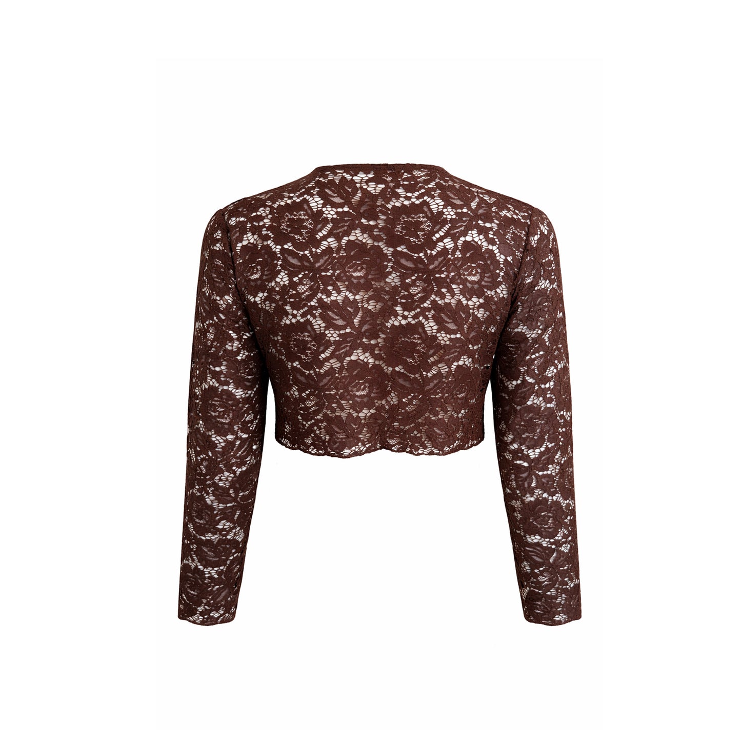 Sheer Lace Tie-Front Crop Top