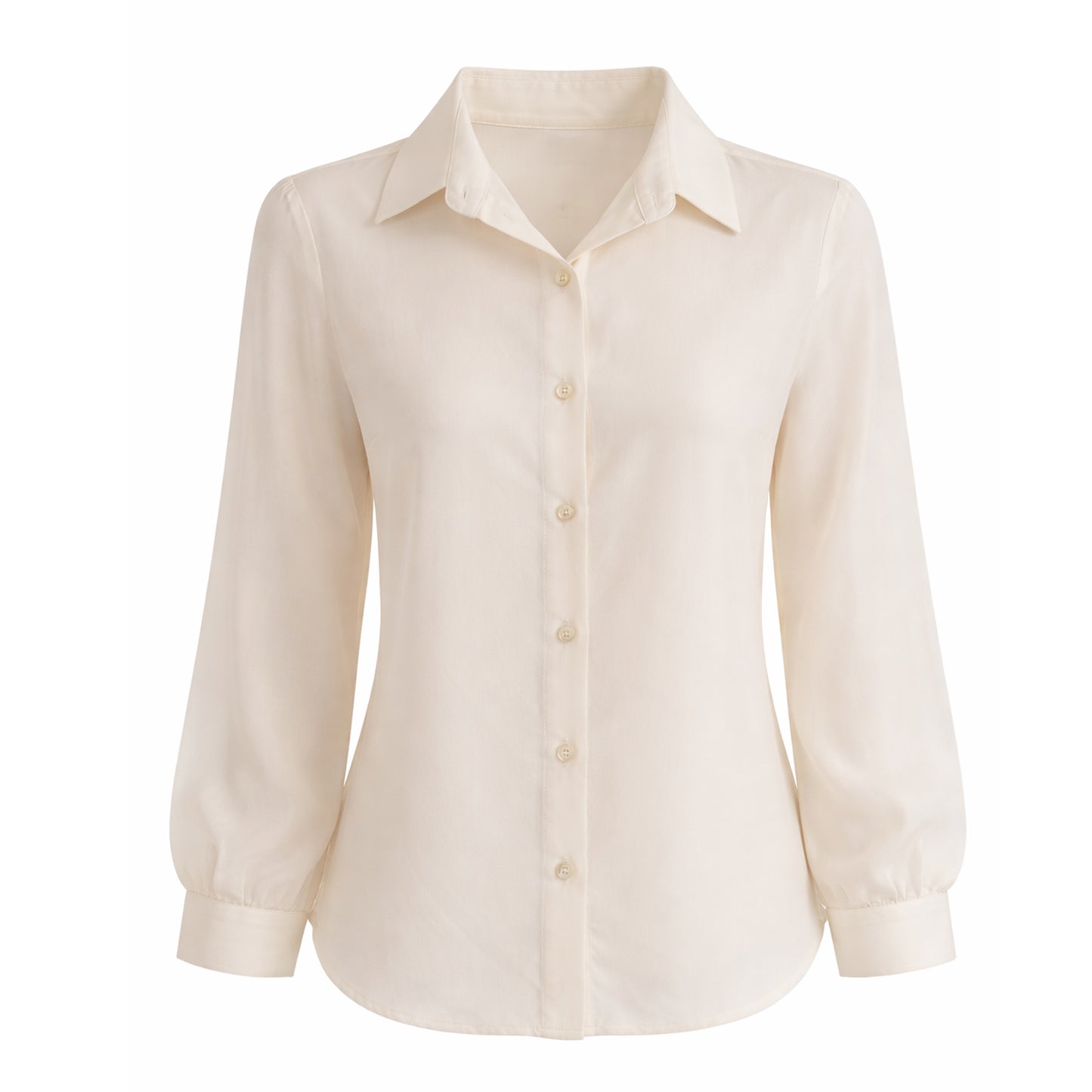 Sheer Relaxed Fit Button-Up Blouse